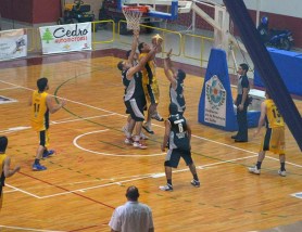 PERMANENCIA. Sergio Ale anotó 14 puntos y bajó tres rebotes para los "leones".